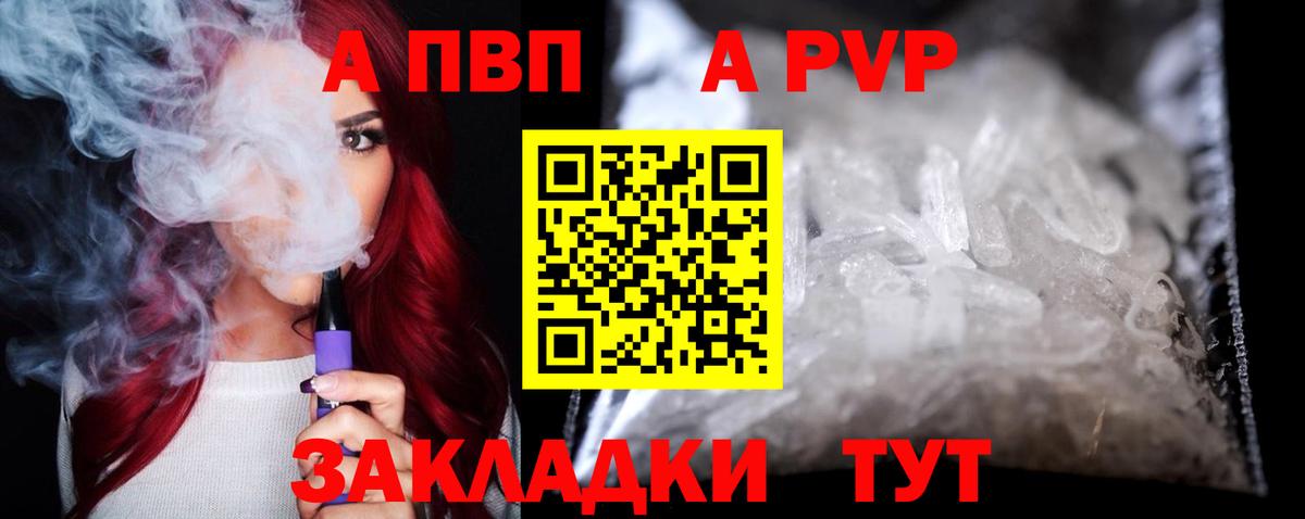Альфа ПВП СК Аргун