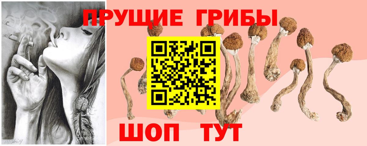 Псилоцибиновые грибы MAGIC MUSHROOMS  Галлюциногенные грибы GOLDEN TEACHER  Аргун  Вход с VPN 